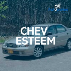 CHEV ESTEEM