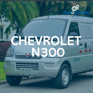 CHEVROLET N300
