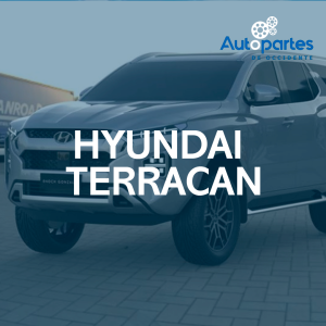 HYUNDAI TERRACAN
