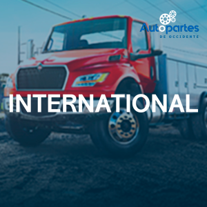 INTERNATIONAL